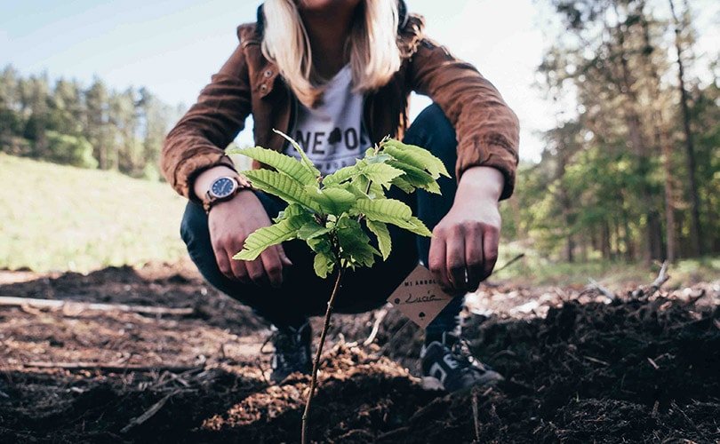 One Oak, una historia de emprendimiento sostenible